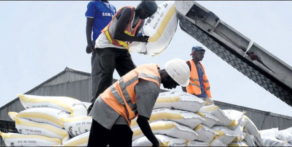 fertiliser by Business Daily.jpg